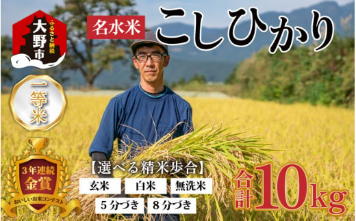 【先行予約】【令和６年産】越前大野産 一等米 帰山農園の棚田育ちコシヒカリ  10kg（5kg×2袋）無洗米【2024年12月より順次発送】