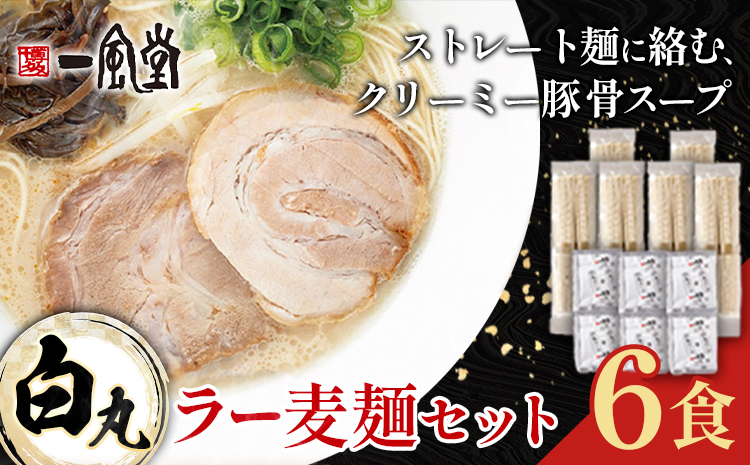 ラーメン 一風堂 白丸 ラー麦麺 セット 6食 地域商社ふるさぽ《90日以内に出荷予定(土日祝除く)》福岡県 鞍手町 ラーメン とんこつ 豚骨スープ 豚骨ラーメン ラー麦 麺---skr_fsipdr_90d_26_10500_6s---
