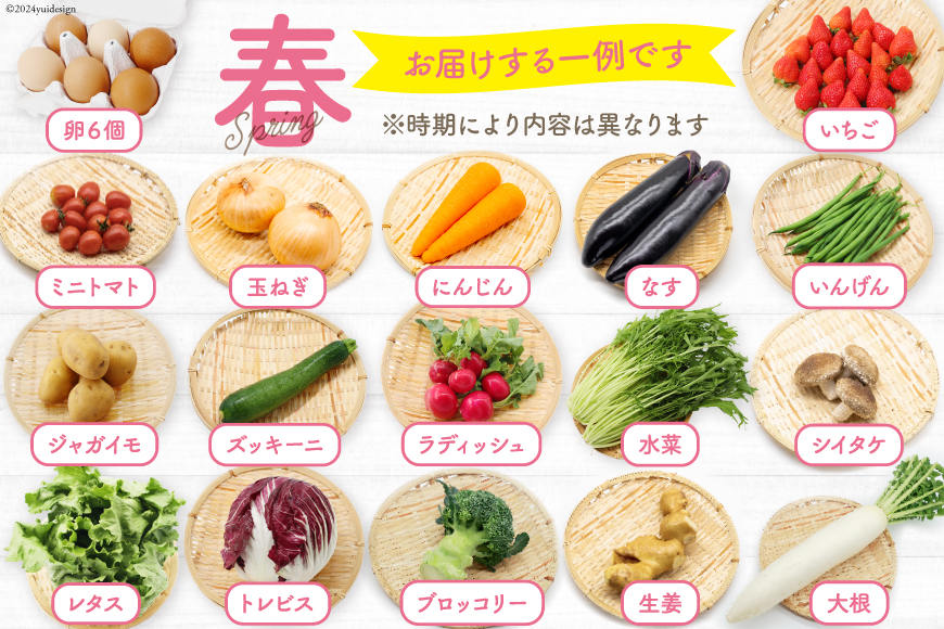 BD038 【12回定期便】 野菜・フルーツ・卵 旬のおまかせセット （野菜･フルーツ14～16種、卵6玉） 【 野菜セット 野菜 フルーツ 果物 たまご 鶏卵 産地直送 厳選 野菜生活】_イメージ2