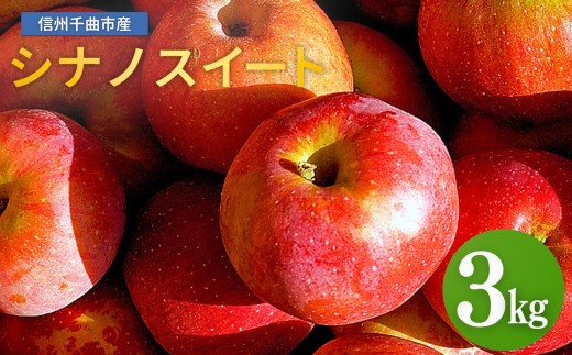 【2026年先行予約】りんご シナノスイート 6~11玉 約3kg｜ リンゴ 林檎 フルーツ 果物 信州りんご 長野県産 千曲市 信州