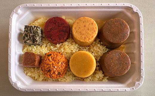 【3ヶ月連続定期便】ひだまり薬膳スパイスカレー 4個 冷凍 薬膳 スパイスカレー カレー スパイス デトックス 保存食 ジビエ 低糖質 ターメリックライス F4F-4366