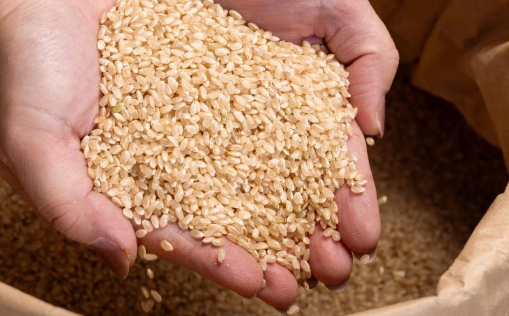 宝珠米コシヒカリ　玄米10キロ