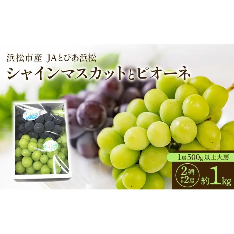 【浜松市産 JAとぴあ浜松】シャインマスカットとピオーネ 1房500g以上大房×2種 合計2房（約1kg） シャインマスカット ピオーネ ぶどう 葡萄 フルーツ プレゼント お中元 クール 静岡 浜松市【配送不可：離島】 