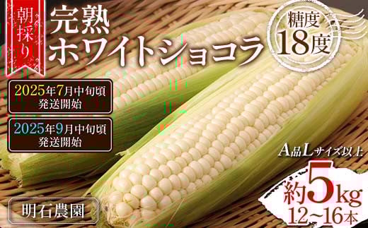 
            【発送時期が選べる】【先行予約 2025年度発送】 ＜朝採り＞ 完熟ホワイトショコラ 明石農園 糖度18度 約5kg とうもろこし 山形県産 A品 Lサイズ以上 FSY-1294
          