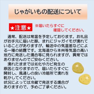 【2024年秋出荷（先行予約商品）】北海道十勝豊頃産 メークイン5㎏［遠藤農場株式会社］"北海道 十勝 豊頃町"