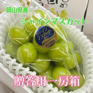 【特選!】贈答用 岡山県産シャインマスカット【大粒】一房入り（約750ｇ）