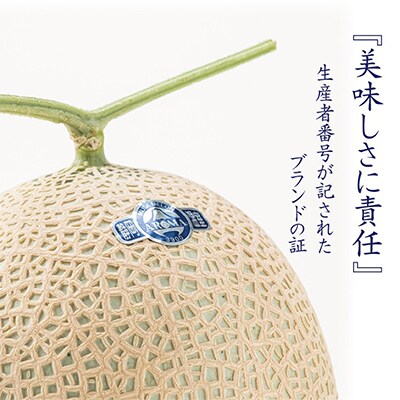 【毎月定期便】アローマメロン白等級(大玉) 1玉 全3回【配送不可地域：離島・北海道・沖縄県】