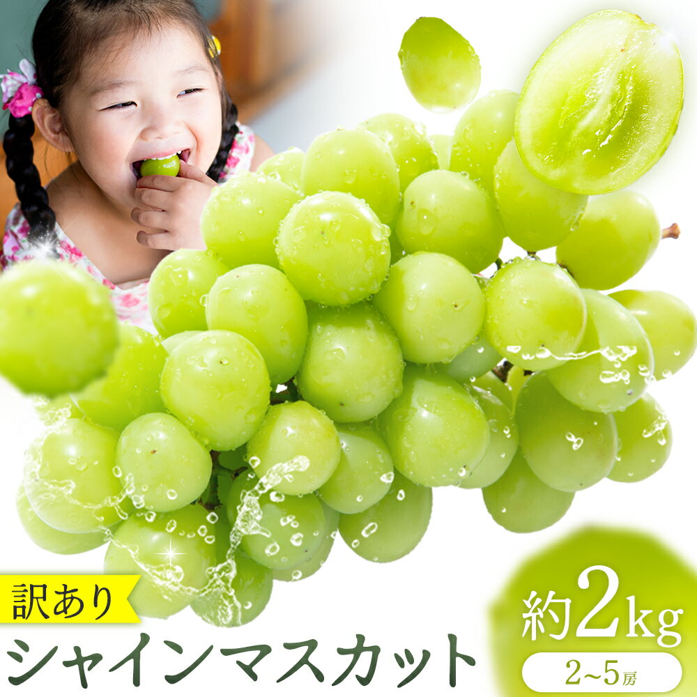 【ふるさと納税】先行予約 訳あり シャインマスカット 約 2kg 2〜5房 小川果樹園《2026年 8月下旬-9月上旬頃出荷》 フルーツ ぶどう 葡萄 ブドウ シャイン マスカット 皮ごと ご家庭用 果物 熊本県 長洲町