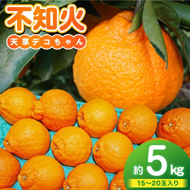 S153-004_天草産 不知火 約5kg