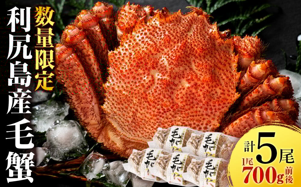 
            利尻・宗谷産 毛ガニ 大サイズ （700g前後）5尾セット＜利尻漁業協同組合＞
          