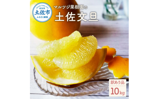【先行予約】マルツジ果樹園の土佐文旦訳あり品（約10kg）訳あり 文旦 土佐文旦 ぶんたん ブンタン 期間限定 数量限定 2L～4Lサイズ 16～22個 果物 柑橘 フルーツ 高知県産 家庭用 傷