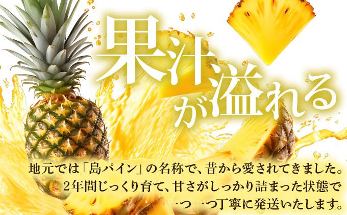 【先行予約】夏実パイン（ハワイ種）大玉6個 計7.8kg《2026年7月下旬発送》【 産地直送 沖縄 石垣 フルーツ パイナップル パイン ハワイ 夏実パイン 】SI-49-1