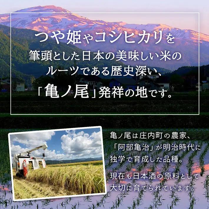 【新米受付】令和8年産 特別栽培米 つや姫 5kg 渡會さんのうまい米！ 5kg×1袋 2026年産 ブランド米 米 国産 単一原料米 山形 庄内平野 コシヒカリの原点、亀の尾発祥の地 庄内【R8.1
