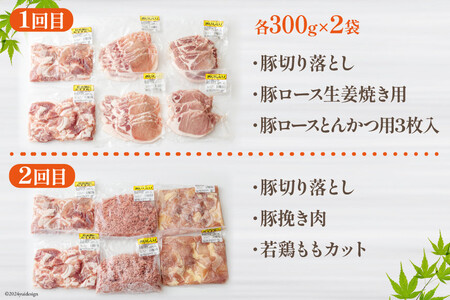 6ヶ月 定期便 豚 鶏肉 小分け お料理 セット 計10.8kg 肉 毎月 お届け 冷凍 宮崎県産 国産 若鶏 鳥 切落し ロース 生姜焼き 豚肉 とんかつ 豚肉 ひき肉 ミンチ 鶏肉 もも カット 