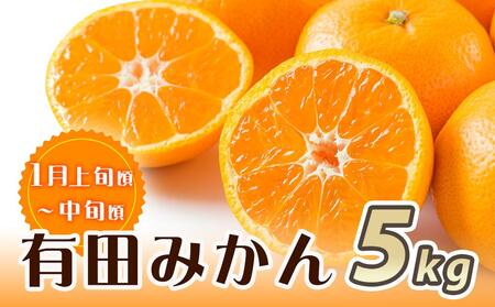 【魚鶴商店厳選】和歌山人気の柑橘定期便（有田みかん・不知火・清見オレンジ）【定期便全3回】