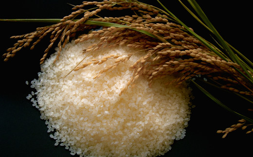 【定期便5カ月間】　令和8年産米　花巻ひとめぼれ6kg（2kg×3袋）　＜6kg×5カ月連続でお届け＝計30kg＞ 【2469】