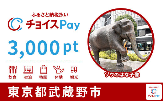 
武蔵野市チョイスPay3,000pt（1pt＝1円）【会員限定のお礼の品】
