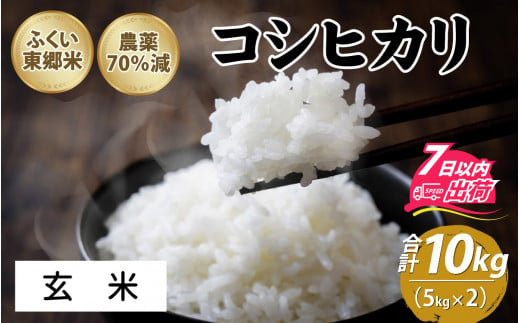 令和5年産 ふくい東郷米 特別栽培米 農薬70％減 コシヒカリ 10kg   5kg×2袋 【玄米】 [B-020027_02] 