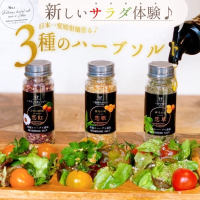〜愛媛の柑橘香る〜ハーブソルト3種セット【C61−1】【1429819】