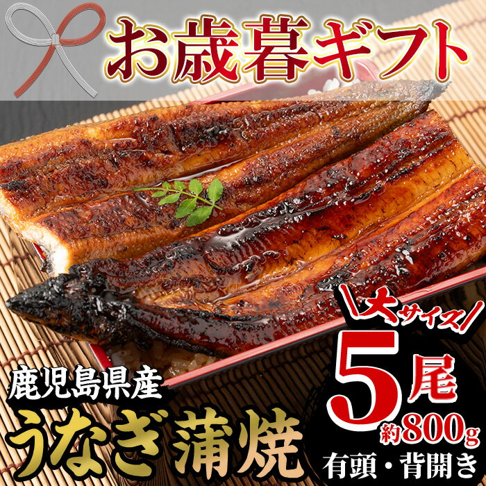 【ふるさと納税】＜2025年お歳暮ギフト＞国産うなぎ(鹿児島県産うなぎ)蒲焼(大サイズ5尾・約800g) 国産 国産魚 九州産 鹿児島県産 魚 魚介 鰻 うなぎ ウナギ 蒲焼 蒲焼き 惣菜 冷凍 プレゼント 贈答品【南竹鰻加工】