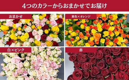 バラ 花束 80本  おまかせ ラッピング有 花 薔薇  生花 愛知県 田原市