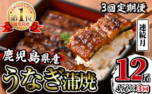 i1083-A ＜定期便・計3回(連続月)＞鹿児島県産うなぎ蒲焼4尾セット＜(約140g×4・計約560g)×全3回＞ うなぎ 鰻 ウナギ 4尾 蒲焼き 国産 鹿児島県産 焼きたて 生産量日本一 真空パック おかず 晩御飯 特別な日 定期便 【薩摩川内鰻】