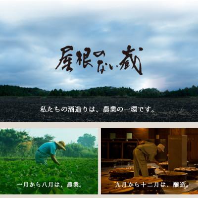 ふるさと納税 日置市 西酒造の麦焼酎「一粒の麦」720ml×5本セット |  | 02