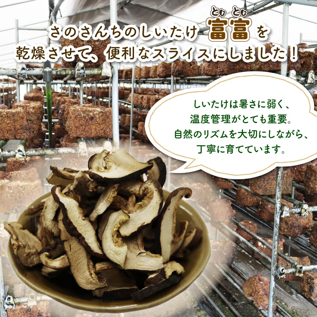 乾燥 しいたけ スライス 45g 6袋 富富（とむとむ）さのさんち 椎茸 シイタケ きのこ 安心 安全 JGAP認証農場 干し椎茸 国産 乾燥椎茸 小分け キノコ 調理 簡単 便利 静岡県 藤枝市