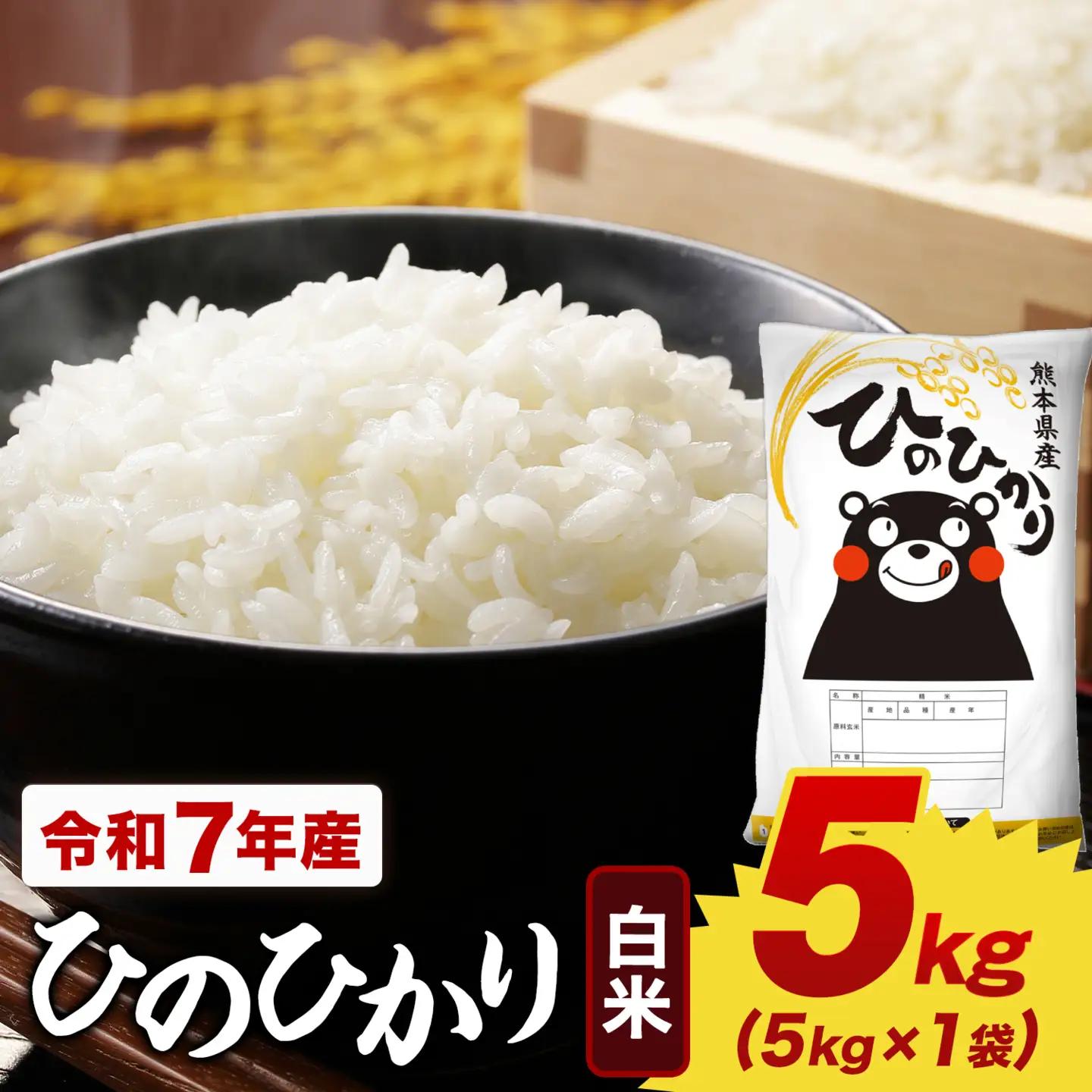 米 令和7年産 白米 ひのひかり 5kg(5kg×1袋)米《7-14日以内に出荷予定(土日祝除く)》