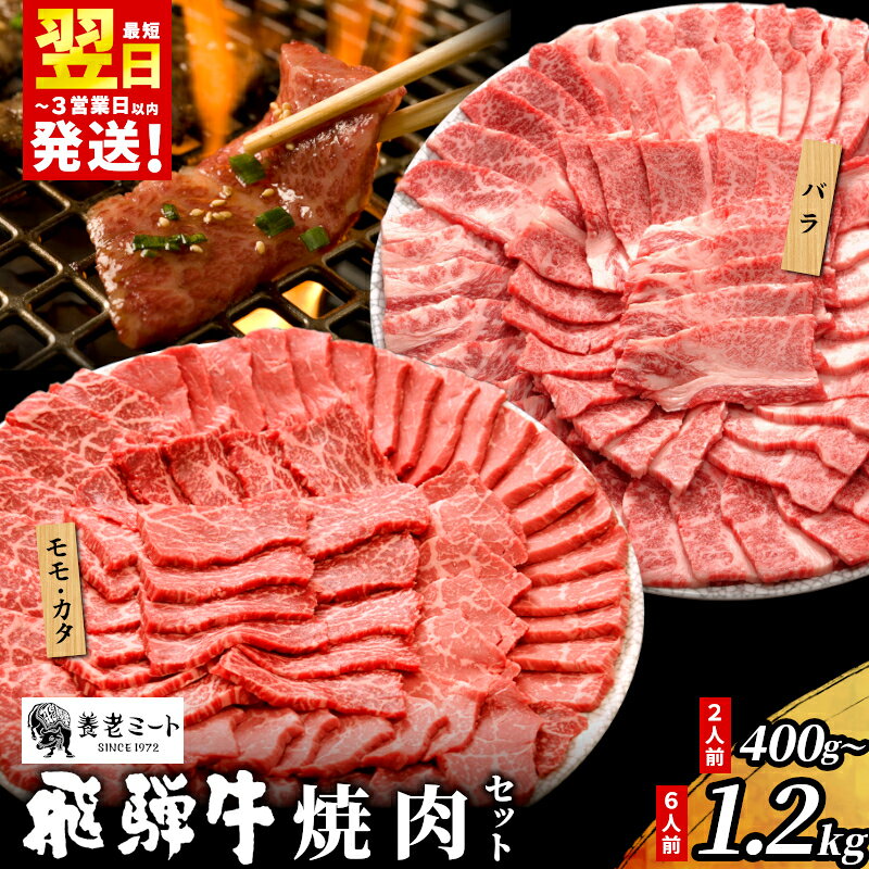 【ふるさと納税】BBQ 贅沢！ 飛騨牛 焼肉セット 2～6人前 400g～1.2kg 牛肉 和牛 肉 焼肉 BBQ キャプ バーベキュー 霜降り カルビ 赤身 モモ カタ 東白川村 岐阜 養老ミート