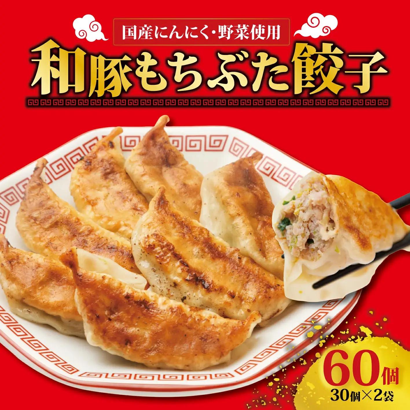 もちぶた餃子 30個入 × 2袋 もちぶた 豚 餃子 餃子 餃子 餃子 餃子 餃子 餃子 I70 