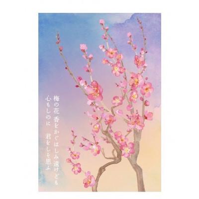 ふるさと納税 水戸市 【水戸市優良観光土産品】Shamrock 粒マスタード 梅香 12個 |  | 03