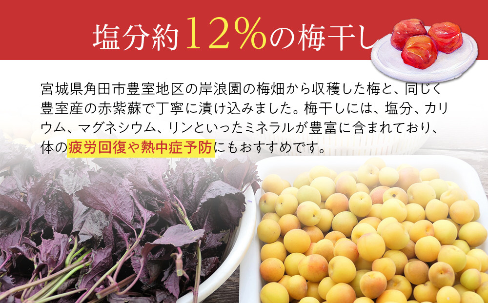 【2026年1月下旬より発送】梅干し しそとうめ 低塩約12％ 170ｇ 8パック入り 限定200個