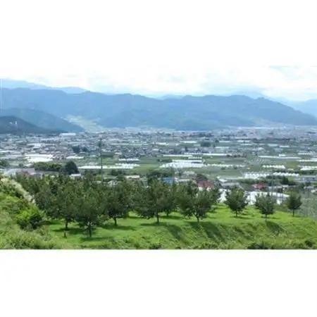 【2026年発送】フルーツ王国　長野県産 りんご　シナノスイート　約2kg(3～6玉程度)【1577400】