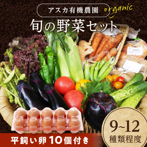 京の旬野菜セットL平飼い卵付き（栽培期間中農薬・化学肥料不使用）<アスカ有機農園>