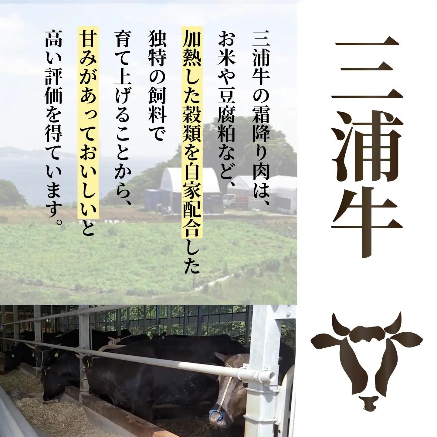 三浦牛入り 黒毛和牛 合挽 ハンバーグ 約150g×10個 【株式会社コーシン】[AKJI003] ハンバーグ