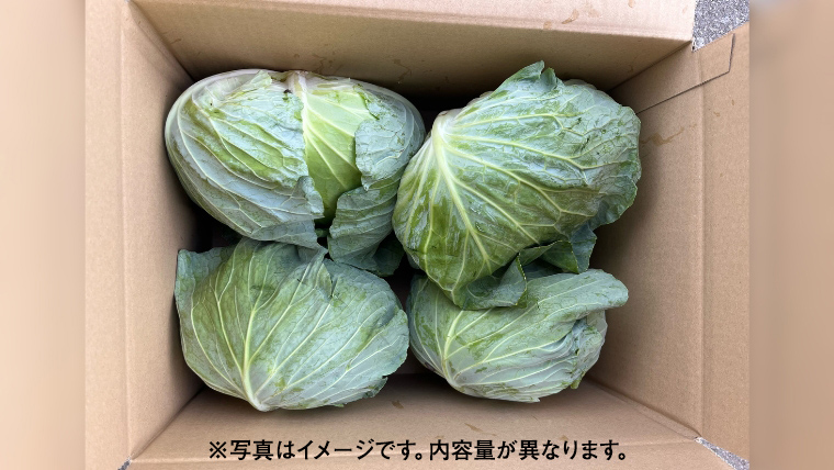 【7月上旬以降発送開始】 嬬恋キャベツ 嬬恋産 高原キャベツ3玉1ケース  先行予約 2025年発送 旬の野菜 きゃべつ 産地直送 群馬 お取り寄せ 野菜 セット Lサイズ [AS010tu]