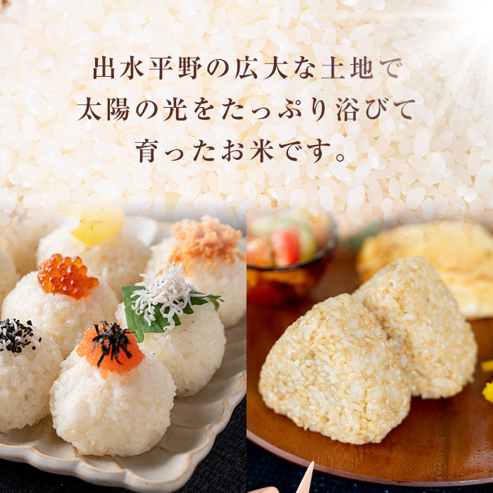 i224 ＜数量限定！新米＞ 令和7年産 鶴秀米 ヒノヒカリ 玄米 (5kg×2袋・10kg) 米 お米 10kg 国産 ヒノヒカリ 新米 おにぎり ごはん 【GOOD TIME】