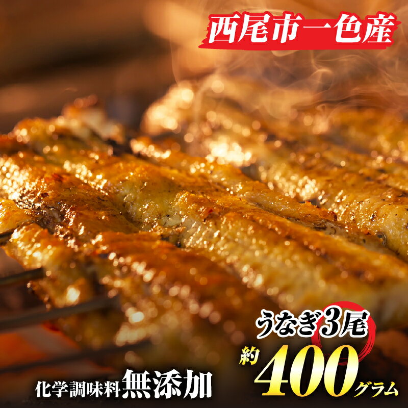 【ふるさと納税】うなぎ 西尾 手焼き 三河一色産うなぎ蒲焼 3尾（約400g）A130-250【冷蔵便】 国産 三河産 無頭 三河一色産 愛知県産 鰻 鰻の蒲焼き 蒲焼き タレ付き たれセット さんしょう 国産うなぎ 化学調味料無添加 土用 MB 送料無料