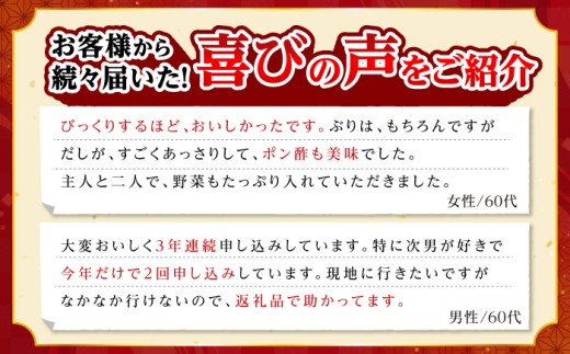 【通常配送】寒ブリしゃぶしゃぶ 2人前 海鮮鍋 ブリしゃぶ ぶりしゃぶ《壱岐市》【若宮水産】 [JAH001] ぶり ブリ 寒ブリ 刺身 刺し身 お刺身 sasimi 海鮮 かいせん kaisen 魚