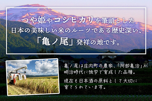 ＜4月開始＞庄内米1年定期便！特別栽培米はえぬき無洗米 2kg（入金期限：2026.3.25） 4月下旬発送 2kg×1袋