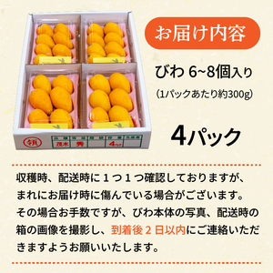 【 期間限定 】びわ 6 ~8個 4 パック 約 1.2kg びわ びわ びわ びわ YN007-2x