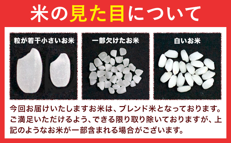 【12ヶ月定期便】鳥取 ふるさと 無洗米 10kg  清流しずく米《お申し込み月の翌月から出荷開始》鳥取県 八頭町 米 お米 ご飯 八頭 ふるさと無洗米 生活応援 ブレンド米 複数原料米 訳あり 小分