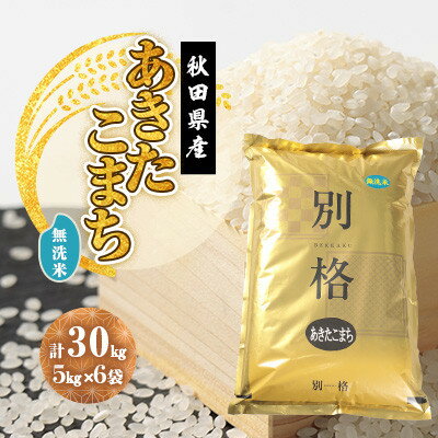 【ふるさと納税】【毎月定期便】あきたこまち 無洗米 30kg(5kg×6袋)全9回【配送不可地域：離島・沖縄県】【4080835】