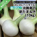 【ふるさと納税】【わいわいベジタブル】春の訪れ！淡路島の新たまねぎ（10kg）