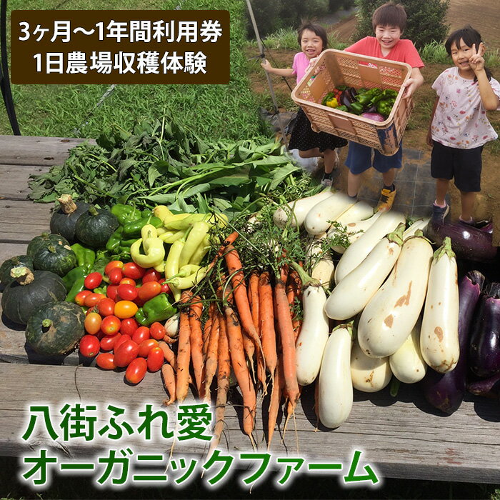 【ふるさと納税】八街ふれ愛オーガニックファーム 3か月〜1年間利用券 1日農場収穫体験
