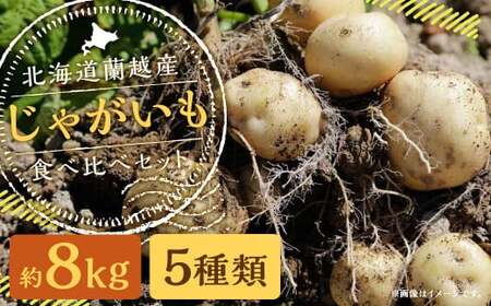 北海道 蘭越産 じゃがいも 食べ比べ 5種類セット 合計約8kg （各800g×2袋）【2024年11月下旬～2025年4月上旬発送予定】