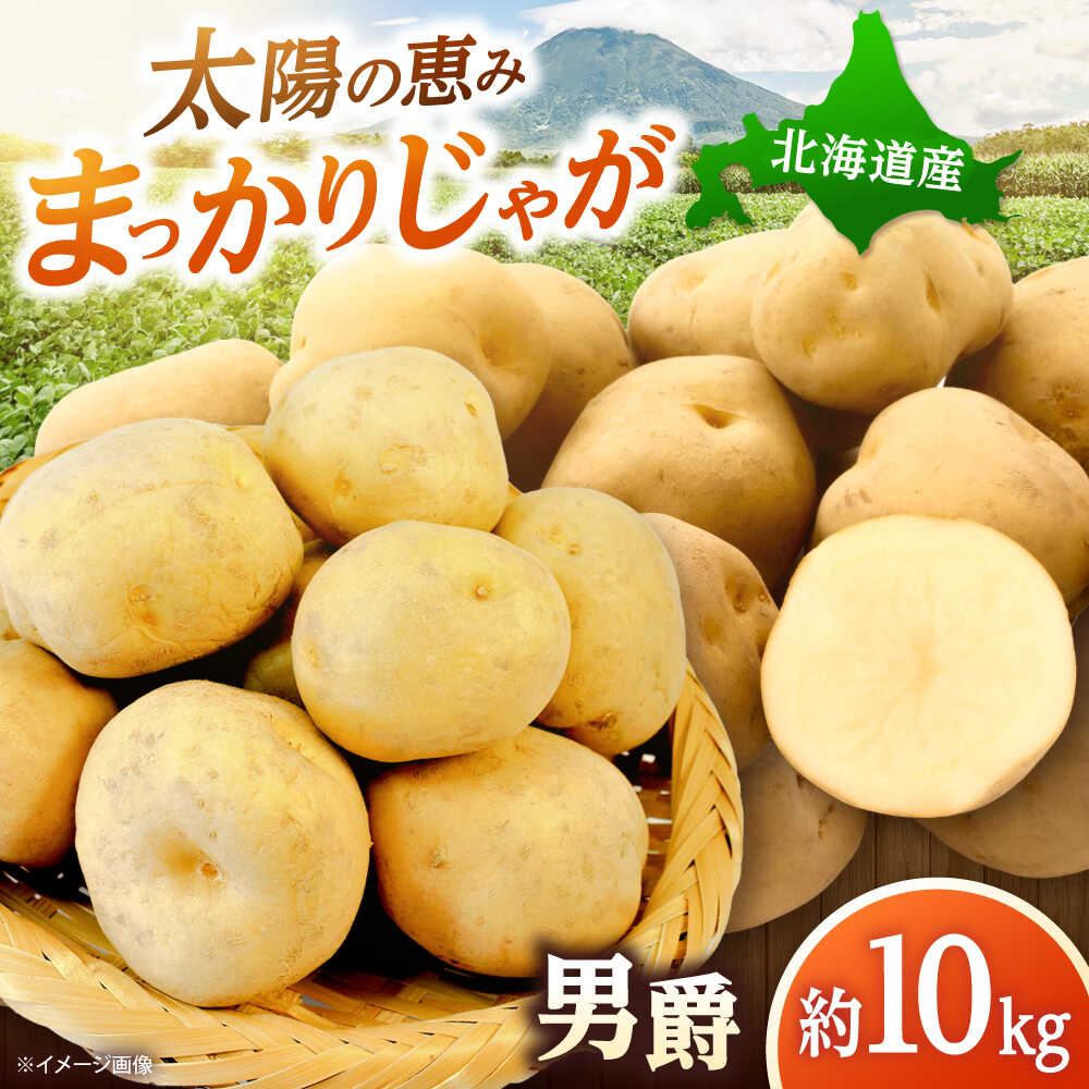 【ふるさと納税】【2026年10月中旬以降順次発送】 じゃがいも 男爵（まっかりじゃが）10kg | じゃがいも ジャガイモ 男爵 男爵芋 野菜 北海道 産地直送 先行予約 10000 10000円 1万円 | 道の駅 真狩フラワーセンター[BPAM024]