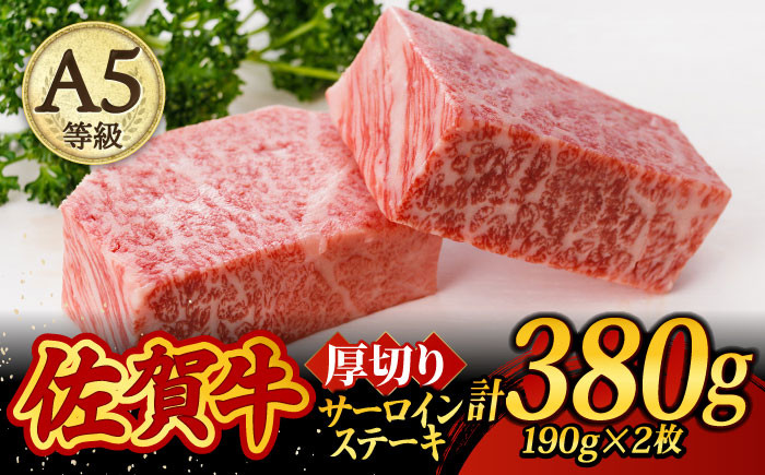 
A5ランク 佐賀牛 厚切り サーロインステーキ 380g (190g×2枚) /焼肉どすこい[UCC015] 牛肉 肉 ステーキ ロース
