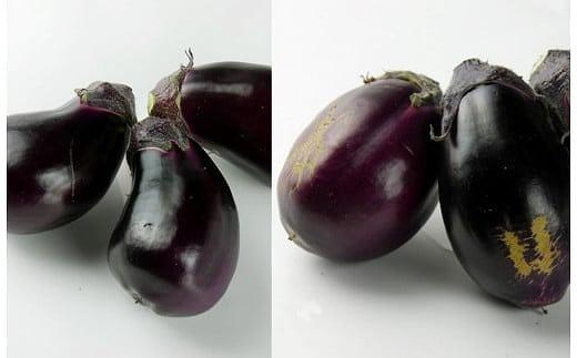 北野農園【農家直送】ワケあり泉州水なす20個